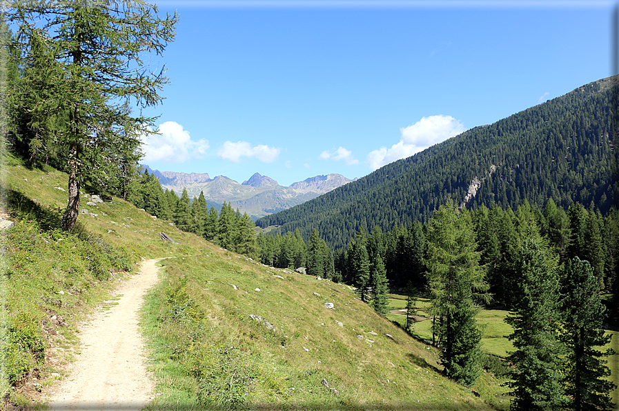 foto Forcella delle Tavarade